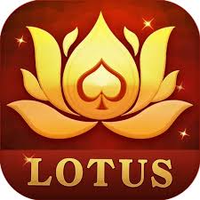 teen patti veg download